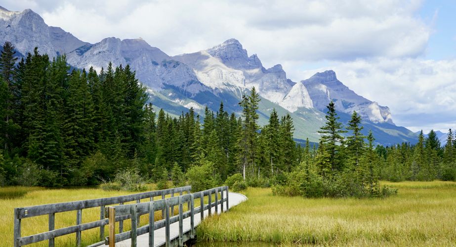 28 38 Canada 133 28 38 Canada 133